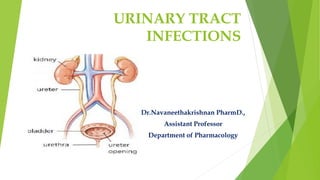 URINARY TRACT
INFECTIONS
Dr.Navaneethakrishnan PharmD.,
Assistant Professor
Department of Pharmacology
 