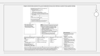 Urinary Tract Infection.pptx , cystitis , lower and upper urinary tract ...