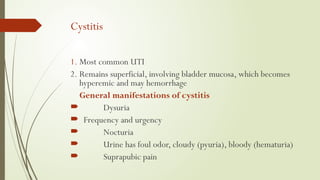 Cystitis
1. Most common UTI
2. Remains superficial, involving bladder mucosa, which becomes
hyperemic and may hemorrhage
General manifestations of cystitis
 Dysuria
 Frequency and urgency
 Nocturia
 Urine has foul odor, cloudy (pyuria), bloody (hematuria)
 Suprapubic pain
 