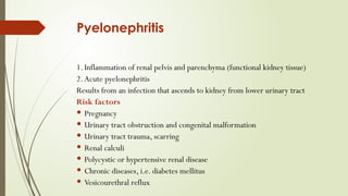 Pyelonephritis
1. Inflammation of renal pelvis and parenchyma (functional kidney tissue)
2. Acute pyelonephritis
Results from an infection that ascends to kidney from lower urinary tract
Risk factors
 Pregnancy
 Urinary tract obstruction and congenital malformation
 Urinary tract trauma, scarring
 Renal calculi
 Polycystic or hypertensive renal disease
 Chronic diseases, i.e. diabetes mellitus
 Vesicourethral reflux
 