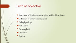 Lecture objective
At the end of this lecture the student will be able to know
Definition of urinary tract infection
Pathophysiology
Risk factors
Pyelonephritis
Urethritis
Cystitis
 