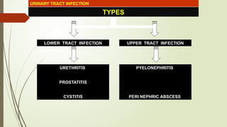 URINARY TRACT INFECTION
TYPES
LOWER TRACT INFECTION UPPER TRACT INFECTION
URETHRITIS
PROSTATITIS
CYSTITIS
PYELONEPHRITIS
PERI NEPHRIC ABSCESS
 