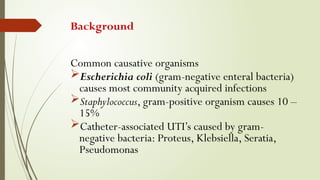 Background
Common causative organisms
Escherichia coli (gram-negative enteral bacteria)
causes most community acquired infections
Staphylococcus, gram-positive organism causes 10 –
15%
Catheter-associated UTI’s caused by gram-
negative bacteria: Proteus, Klebsiella, Seratia,
Pseudomonas
 