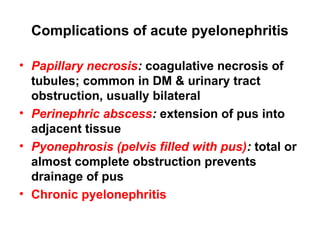 Complications of acute pyelonephritis
• Papillary necrosis: coagulative necrosis of
tubules; common in DM & urinary tract
obstruction, usually bilateral
• Perinephric abscess: extension of pus into
adjacent tissue
• Pyonephrosis (pelvis filled with pus): total or
almost complete obstruction prevents
drainage of pus
• Chronic pyelonephritis
 
