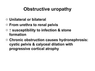 Obstructive uropathy
o Unilateral or bilateral
o From urethra to renal pelvis
o ↑ susceptibility to infection & stone
formation
o Chronic obstruction causes hydronephrosis:
cystic pelvis & calyceal dilation with
progressive cortical atrophy
 