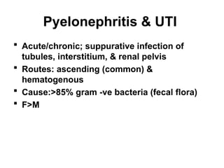 Pyelonephritis & UTI
 Acute/chronic; suppurative infection of
tubules, interstitium, & renal pelvis
 Routes: ascending (common) &
hematogenous
 Cause:>85% gram -ve bacteria (fecal flora)
 F>M
 