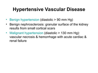 Hypertensive Vascular Disease
• Benign hypertension (diastolic > 90 mm Hg)
• Benign nephrosclerosis: granular surface of the kidney
results from small cortical scars
• Malignant hypertension (diastolic > 130 mm Hg):
vascular necrosis & hemorrhage with acute cardiac &
renal failure
 