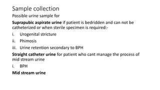 Sample collection
Possible urine sample for
Suprapubic aspirate urine if patient is bedridden and can not be
catheterized or when sterile specimen is required:-
i. Urogenital stricture
ii. Phimosis
iii. Urine retention secondary to BPH
Straight catheter urine for patient who cant manage the process of
mid stream urine
i. BPH
Mid stream urine
 