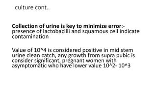 culture cont..
Collection of urine is key to minimize error:-
presence of lactobacilli and squamous cell indicate
contamination
Value of 10^4 is considered positive in mid stem
urine clean catch, any growth from supra pubic is
consider significant, pregnant women with
asymptomatic who have lower value 10^2- 10^3
 