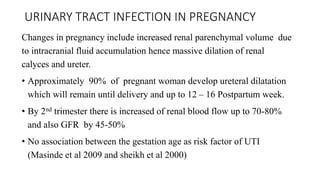 URINARY TRACT INFECTION IN PREGNANCY
Changes in pregnancy include increased renal parenchymal volume due
to intracranial fluid accumulation hence massive dilation of renal
calyces and ureter.
• Approximately 90% of pregnant woman develop ureteral dilatation
which will remain until delivery and up to 12 – 16 Postpartum week.
• By 2nd trimester there is increased of renal blood flow up to 70-80%
and also GFR by 45-50%
• No association between the gestation age as risk factor of UTI
(Masinde et al 2009 and sheikh et al 2000)
 