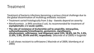 Treatment
Treatment of bacteria infections becoming a serious clinical challenge due to
the global dissemination of multidrug antibiotic resistant
• Treatment varied histologically from 3 day - 6weeks depend on severity
• Nitrofurantoin ,is 94% sensitive E coli, its recommended for treatment of
asymptomatic and acute cystitis .
• The rate of resistance of Escherichia coli to ampicillin, tetracycline,
sulfamethaxazole/trimethoprim, gentamicin, ciprofloxacin,
nitrofurantoin, ceftriaxone, and imipenem were 53%, 58.8%, 64.7%, 5.9%,
11.8%, 5.9%, 29.4% and 0%, respectively (Masinde et al 2009) in bugando
• E coli shows resistant to ceftriaxone ( Masinde et al 2009, blomberg et al
2005)
 