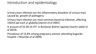 Introduction and epidemiology
Urinary tract infection are the inflammatory disorders of urinary tract
caused by growth of pathogens.
Urinary tract infection are most common bacterial infection, affecting
150mil ppl each yr globally.(stamm et al 2001)
It account of 22.3% of UTI in Bushenyi district Uganda (martin odoki et
al 2019)
Prevalence of 14.6% among pregnancy women attending bugando
hospital ( Masinde et al 2009)
 