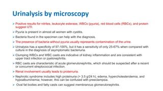 Pyuria Pregnancy Urinary Tract Infection in Pregnancy.pptx