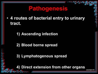 Pathogenesis
• 4 routes of bacterial entry to urinary
tract.
1) Ascending infection
2) Blood borne spread
3) Lymphatogenous spread
4) Direct extension from other organs
 