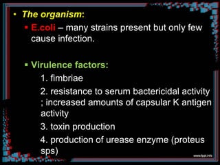 • The organism:
 E.coli – many strains present but only few
cause infection.
 Virulence factors:
1. fimbriae
2. resistance to serum bactericidal activity
; increased amounts of capsular K antigen
activity
3. toxin production
4. production of urease enzyme (proteus
sps)
 