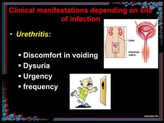 Clinical manifestations depending on site
of infection
• Urethritis:
 Discomfort in voiding
 Dysuria
 Urgency
 frequency
 