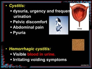 • Cystitis:
 dysuria, urgency and frequent
urination
 Pelvic discomfort
 Abdominal pain
 Pyuria
• Hemorrhagic cystitis:
 Visible blood in urine.
 Irritating voiding symptoms
 