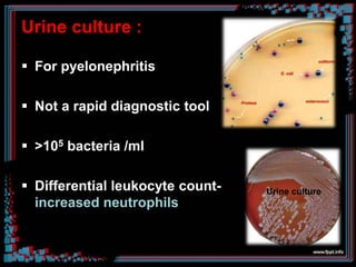 Urine culture :
 For pyelonephritis
 Not a rapid diagnostic tool
 >105 bacteria /ml
 Differential leukocyte count-
increased neutrophils
Urine culture
 