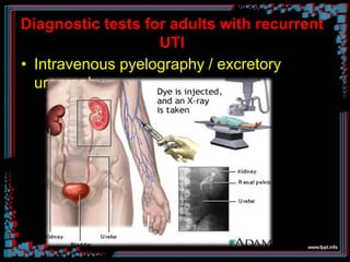 Diagnostic tests for adults with recurrent
UTI
• Intravenous pyelography / excretory
urography
 