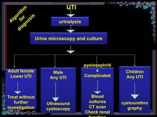 UTI
urinalysis
Urine microscopy and culture
Male
Any UTI
Ultrasound
cystoscopy
Adult female
Lower UTI
Treat without
further
investigation
Children
Any UTI
cystourethro
graphy
pyelonephriti
s
Complicated
Blood
cultures
CT scan
Check renal
Further investigation
 