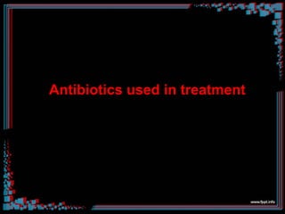Antibiotics used in treatment
 