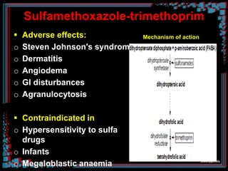 Sulfamethoxazole-trimethoprim
 Adverse effects:
o Steven Johnson's syndrome
o Dermatitis
o Angiodema
o GI disturbances
o Agranulocytosis
 Contraindicated in
o Hypersensitivity to sulfa
drugs
o Infants
o Megaloblastic anaemia
Mechanism of action
 