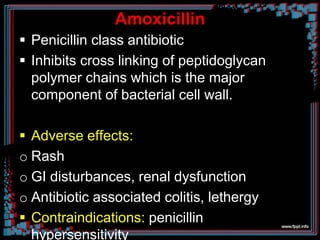 Amoxicillin
 Penicillin class antibiotic
 Inhibits cross linking of peptidoglycan
polymer chains which is the major
component of bacterial cell wall.
 Adverse effects:
o Rash
o GI disturbances, renal dysfunction
o Antibiotic associated colitis, lethergy
 Contraindications: penicillin
hypersensitivity
 