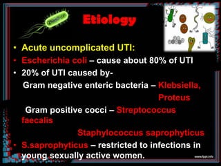 Complicated UTI:

 Pseudomonas aeruginosa, Enterobacter &
  Serratia

 Isolated in hospital acquired infections and
  ca...