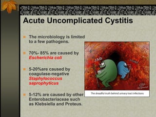 Acute Uncomplicated Cystitis
 The microbiology is limited
  to a few pathogens.

 70%- 85% are caused by
  Escherichia coli

 5-20%are caused by
  coagulase-negative
  Staphylococcus
  saprophyticus

 5-12% are caused by other
  Enterobacteriaceae such
  as Klebsiella and Proteus.
 