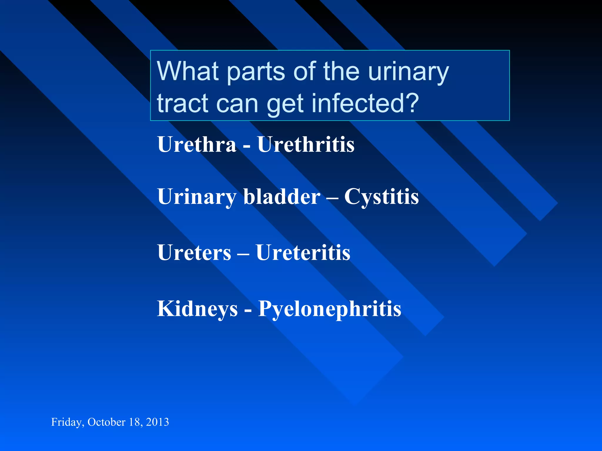 What parts of the urinary
tract can get infected?
Urethra - Urethritis
Urinary bladder – Cystitis
Ureters – Ureteritis
Kidneys - Pyelonephritis

Friday, October 18, 2013

 