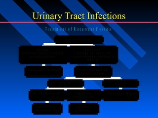 Urinary Tract Infections
T re a tm e n t o f R e c u rre n t C y s titis
R e c u r r e n t C y s t it is

R e la p s e
S e e k o c c u lt s o u r c e o f in f e c t o n
U r o lo g ic e v a lu a t io n

R e in fe
D ia p h r a g m a n
C o n s id e r c h a n g in
m e th

T r e a t lo n g e r ( 2 - 6 w e e k s )

c t io n
d s p e r m ic id e
g c o n tr a c e p t iv e
o d

U r o lo g ic e v a lu a t io n n o t
r o u t in e ly in d ic a t e d

³ 3 U T I/y r

³ 2 U T I/y r

N o r e la t io n t o c o it u s

T e m p o r a lly
r e la t e d t o c o it u s

D a ily o r t h r ic e
w e e k ly p r o p h y la x is

P o s t c o it a l
p r o p h y la x is

P a t ie n t in it ia t e d t h e r a p y

 