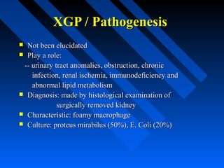 XGP / Pathogenesis
Not been elucidated
 Play a role:
-- urinary tract anomalies, obstruction, chronic
infection, renal ischemia, immunodeficiency and
abnormal lipid metabolism
 Diagnosis: made by histological examination of
surgically removed kidney
 Characteristic: foamy macrophage
 Culture: proteus mirabilus (50%), E. Coli (20%)


 