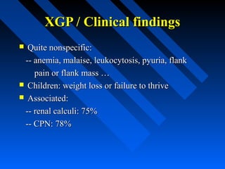 XGP / Clinical findings
Quite nonspecific:
-- anemia, malaise, leukocytosis, pyuria, flank
pain or flank mass …
 Children: weight loss or failure to thrive
 Associated:
-- renal calculi: 75%
-- CPN: 78%


 