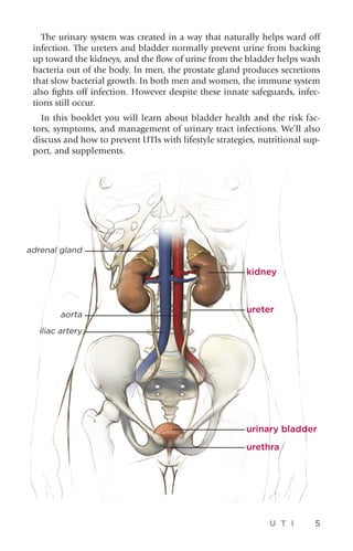 U T I 5
adrenal gland
aorta
iliac artery
kidney
ureter
urinary bladder
urethra
The urinary system was created in a way that naturally helps ward off
infection. The ureters and bladder normally prevent urine from backing
up toward the kidneys, and the flow of urine from the bladder helps wash
bacteria out of the body. In men, the prostate gland produces secretions
that slow bacterial growth. In both men and women, the immune system
also fights off infection. However despite these innate safeguards, infec-
tions still occur.
In this booklet you will learn about bladder health and the risk fac-
tors, symptoms, and management of urinary tract infections. We’ll also
discuss and how to prevent UTIs with lifestyle strategies, nutritional sup-
port, and supplements.
 