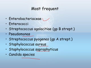 Most frequent
• Enterobacteriaceae
• Enterococci
• Streptococcus agalacitiae (gp B strept.)
• Pseudomonas
• Streptococcus pyogenes (gp A strept.)
• Staphylococcus aureus
• Staphylococcus saprophyticus
• Candida species
 