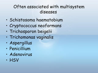 Often associated with multisystem
diseases
• Schistosoma haematobium
• Cryptococcus neoformans
• Trichosporon beigelii
• Trichomonas vaginalis
• Aspergillus
• Penicillium
• Adenovirus
• HSV
 
