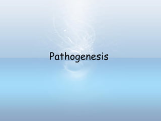Pathogenesis
 