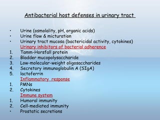 Antibacterial host defenses in urinary tract
• Urine (osmolality, pH, organic acids)
• Urine flow & micturation
• Urinary tract mucosa (bactericidal activity, cytokines)
Urinary inhibitors of bacterial adherence
1. Tamm-Horsfall protein
2. Bladder mucopolysaccharide
3. Low-molecular-weight oligosaccharides
4. Secretory immunoglobulin A (SIgA)
5. lactoferrin
Inflammatory response
1. PMNs
2. Cytokines
Immune system
1. Humoral immunity
2. Cell-mediated immunity
• Prostatic secretions
 