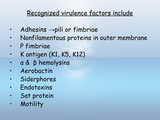 Recognized virulence factors include
• Adhesins →pili or fimbriae
• Nonfilamentous proteins in outer membrane
• P fimbriae
• K antigen (K1, K5, K12)
• α & β hemolysins
• Aerobactin
• Siderphores
• Endotoxins
• Sat protein
• Motility
 