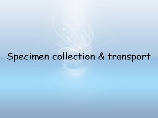 Specimen collection & transport
 