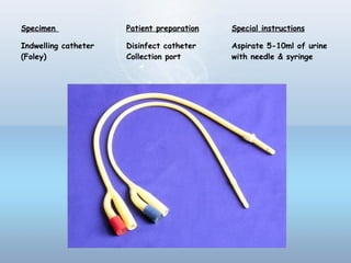 Specimen Patient preparation Special instructions
Indwelling catheter
(Foley)
Disinfect catheter
Collection port
Aspirate 5-10ml of urine
with needle & syringe
 