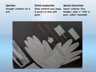 Specimen Patient preparation Special instructions
Straight catheter (in &
out)
Clean urethral area (soap
& water) & rinse with
water
Insert catheter Into
bladder; allow 1st
15ml to
pass; collect remainder
 