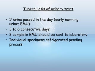 Tuberculosis of urinary tract
• 1st
urine passed in the day (early morning
urine; EMU)
• 3 to 6 consecutive days
• 3 complete EMU should be sent to laboratory
• Individual specimens refrigerated pending
process
 