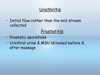 Urethritis
• Initial flow rather than the mid stream
collected
Prostatitis
• Prostatic secretions
• Urethral urine & MSU obtained before &
after massage
 