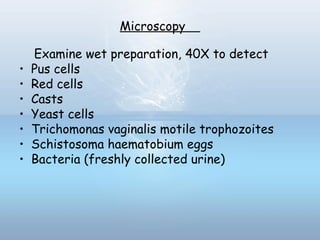 Microscopy
Examine wet preparation, 40X to detect
• Pus cells
• Red cells
• Casts
• Yeast cells
• Trichomonas vaginalis motile trophozoites
• Schistosoma haematobium eggs
• Bacteria (freshly collected urine)
 
