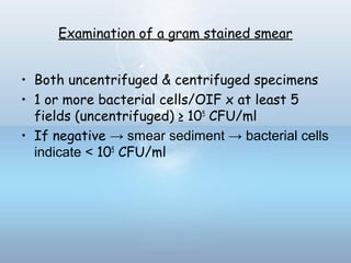 Examination of a gram stained smear
• Both uncentrifuged & centrifuged specimens
• 1 or more bacterial cells/OIF x at least 5
fields (uncentrifuged) ≥ 105
CFU/ml
• If negative → smear sediment → bacterial cells
indicate < 105
CFU/ml
 