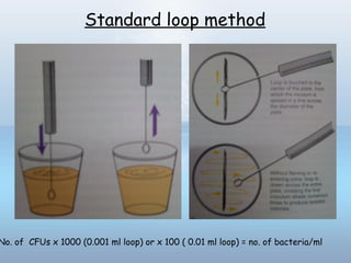 Standard loop method
No. of CFUs x 1000 (0.001 ml loop) or x 100 ( 0.01 ml loop) = no. of bacteria/ml
 