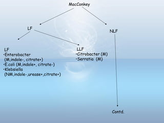 MacConkey
LF
NLF
LF
•Enterobacter
(M,indole-, citrate+)
•E.coli (M,indole+, citrate-)
•Klebsiella
(NM,indole-,urease+,citrate+)
LLF
•Citrobacter (M)
•Serratia (M)
Contd.
 