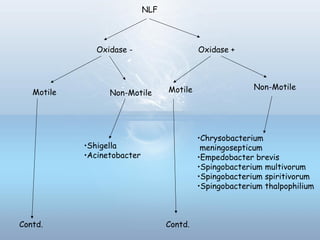 NLF
Oxidase - Oxidase +
Motile MotileNon-Motile
Non-Motile
•Chrysobacterium
meningosepticum
•Empedobacter brevis
•Spingobacterium multivorum
•Spingobacterium spiritivorum
•Spingobacterium thalpophilium
•Shigella
•Acinetobacter
Contd.Contd.
 