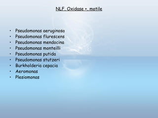 NLF, Oxidase +, motile
• Pseudomonas aeruginosa
• Pseudomonas flurescens
• Pseudomonas mendocina
• Pseudomonas monteilli
• Pseudomonas putida
• Pseudomonas stutzeri
• Burkholderia cepacia
• Aeromonas
• Plesiomonas
 